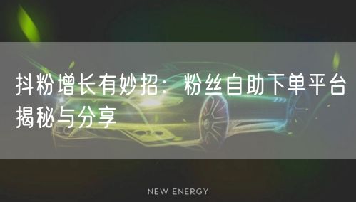 抖粉增长有妙招：粉丝自助下单平台揭秘与分享